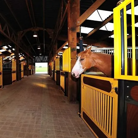 Le Domaine Chateau Du Faucon 酒店 4*