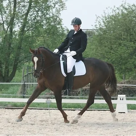 Le Domaine Chateau Du Faucon