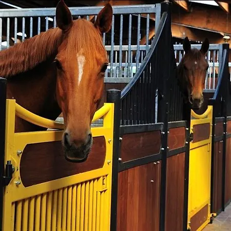 酒店 Le Domaine Chateau Du Faucon 4*