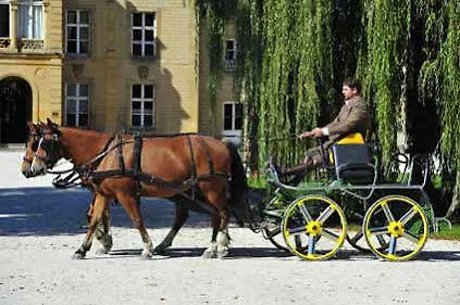 Le Domaine Chateau Du Faucon
