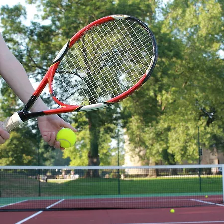 Le Domaine Chateau Du Faucon 酒店 栋什里