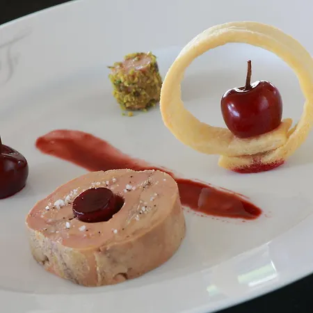 Le Domaine Chateau Du Faucon 4* 栋什里