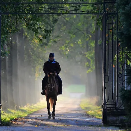 Le Domaine Chateau Du Faucon 酒店 栋什里