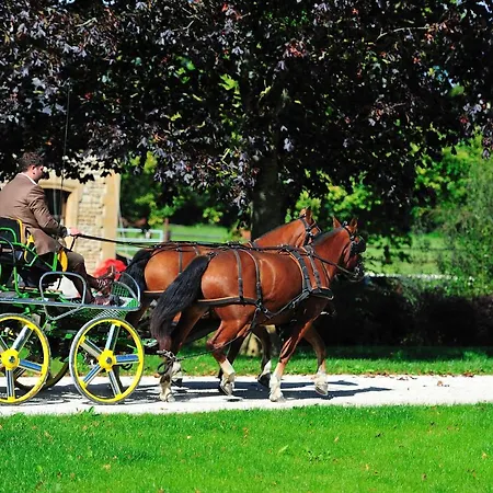 Le Domaine Chateau Du Faucon