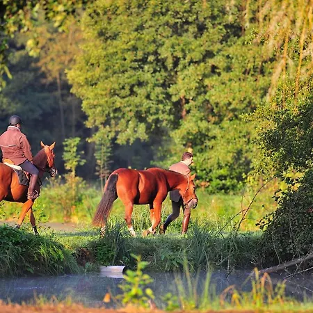 Le Domaine Chateau Du Faucon 酒店